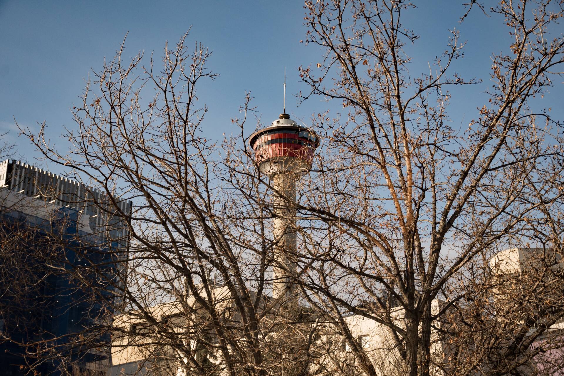 photosbyollie-Calgary-tower-1